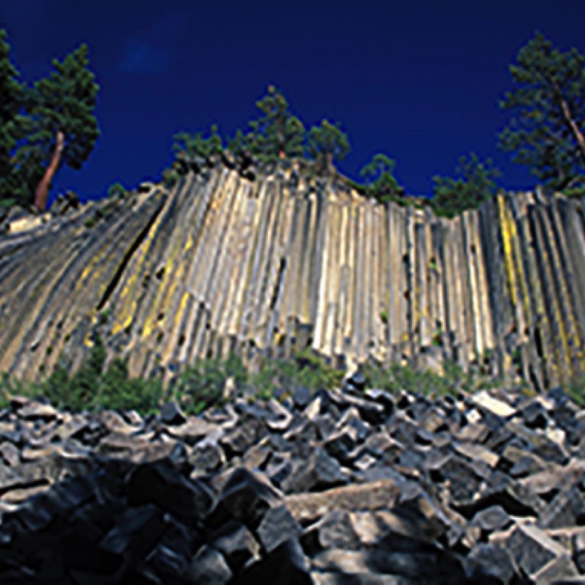 Stacks Image 14