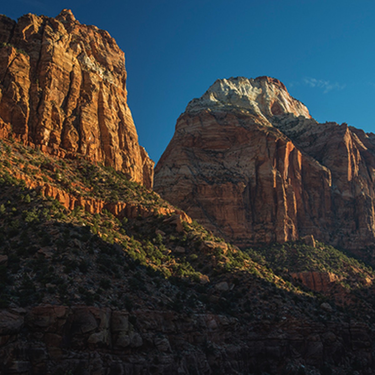 Stacks Image 854