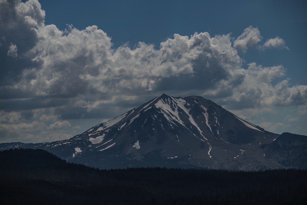 Stacks Image 142