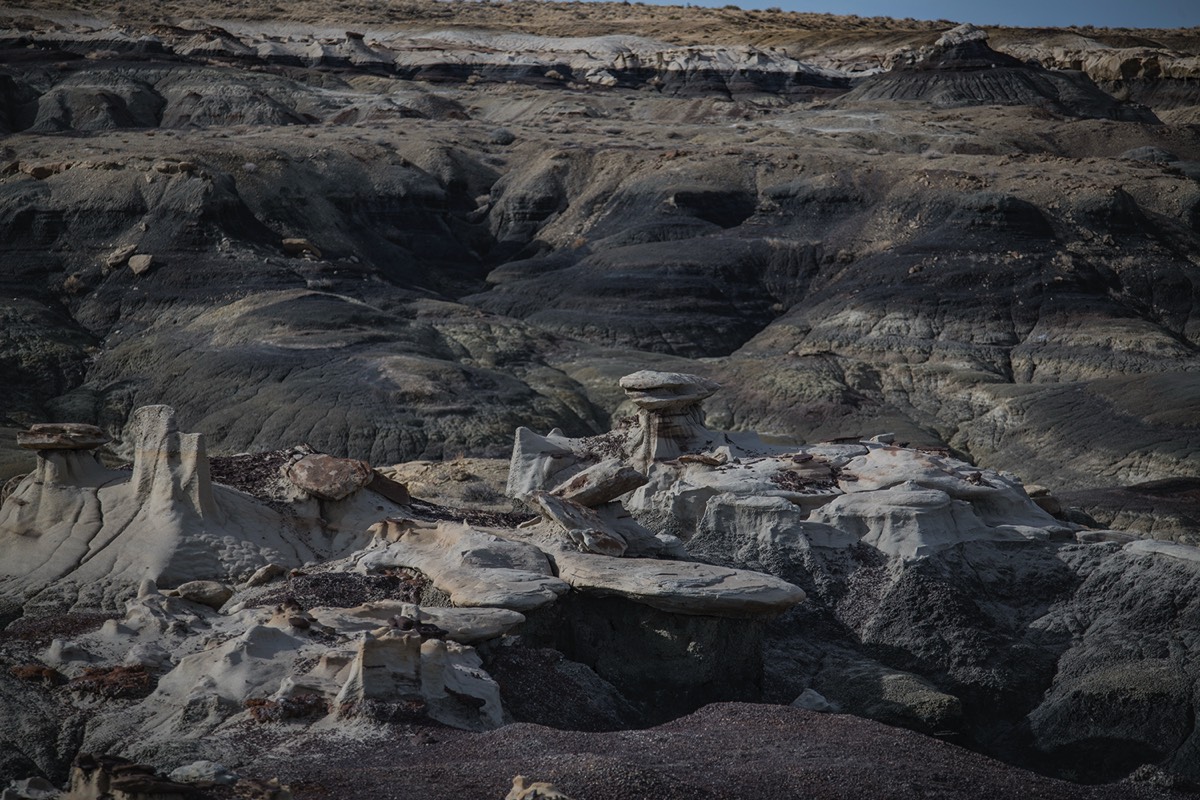 Stacks Image 77