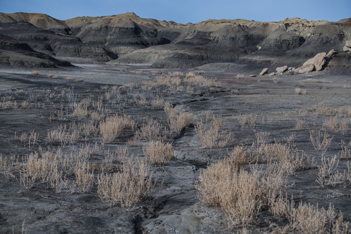 Stacks Image 95