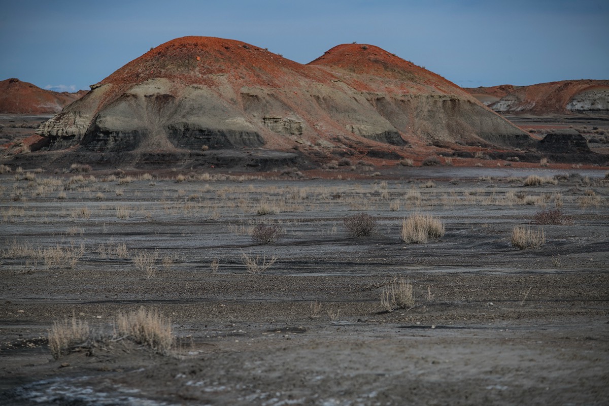 Stacks Image 155