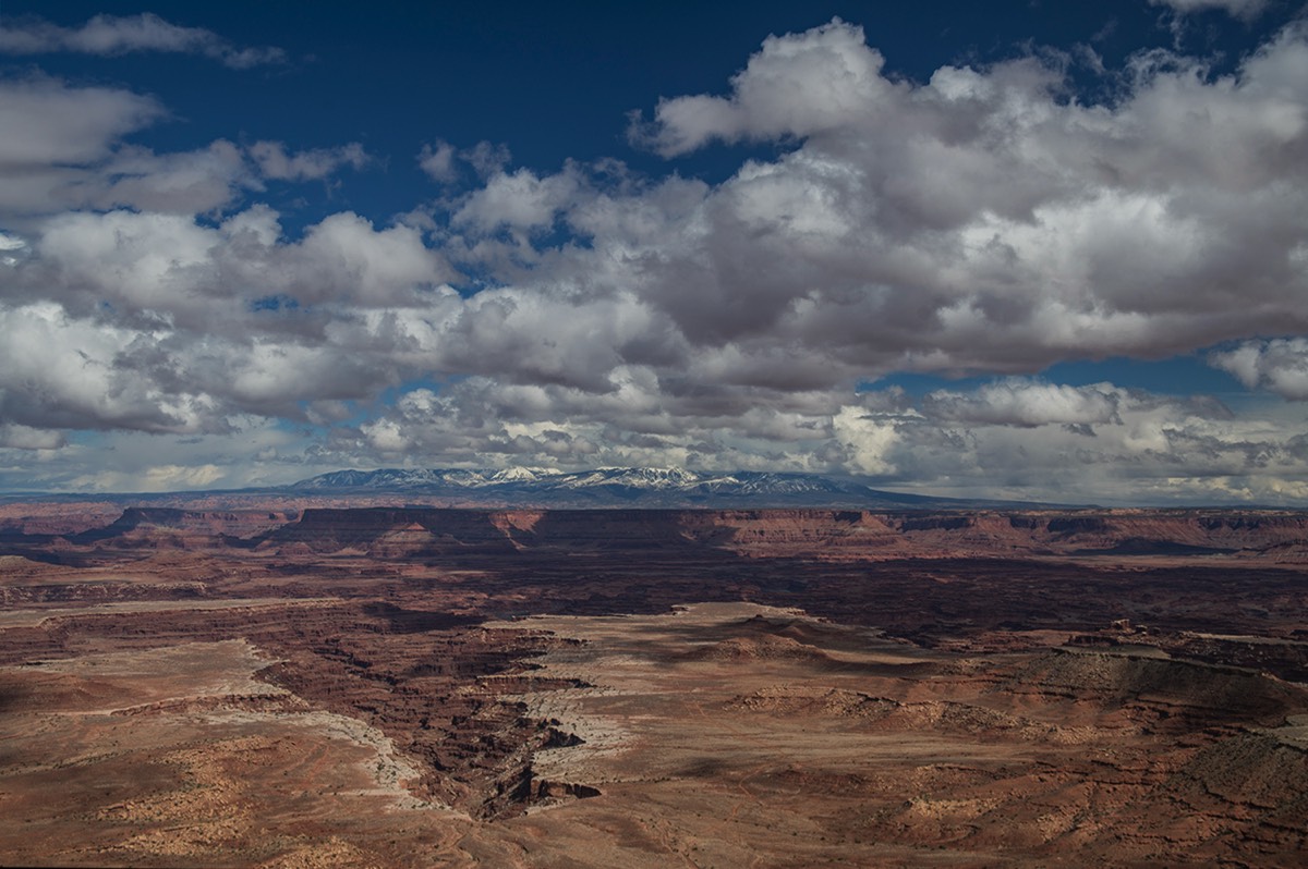 Stacks Image 175