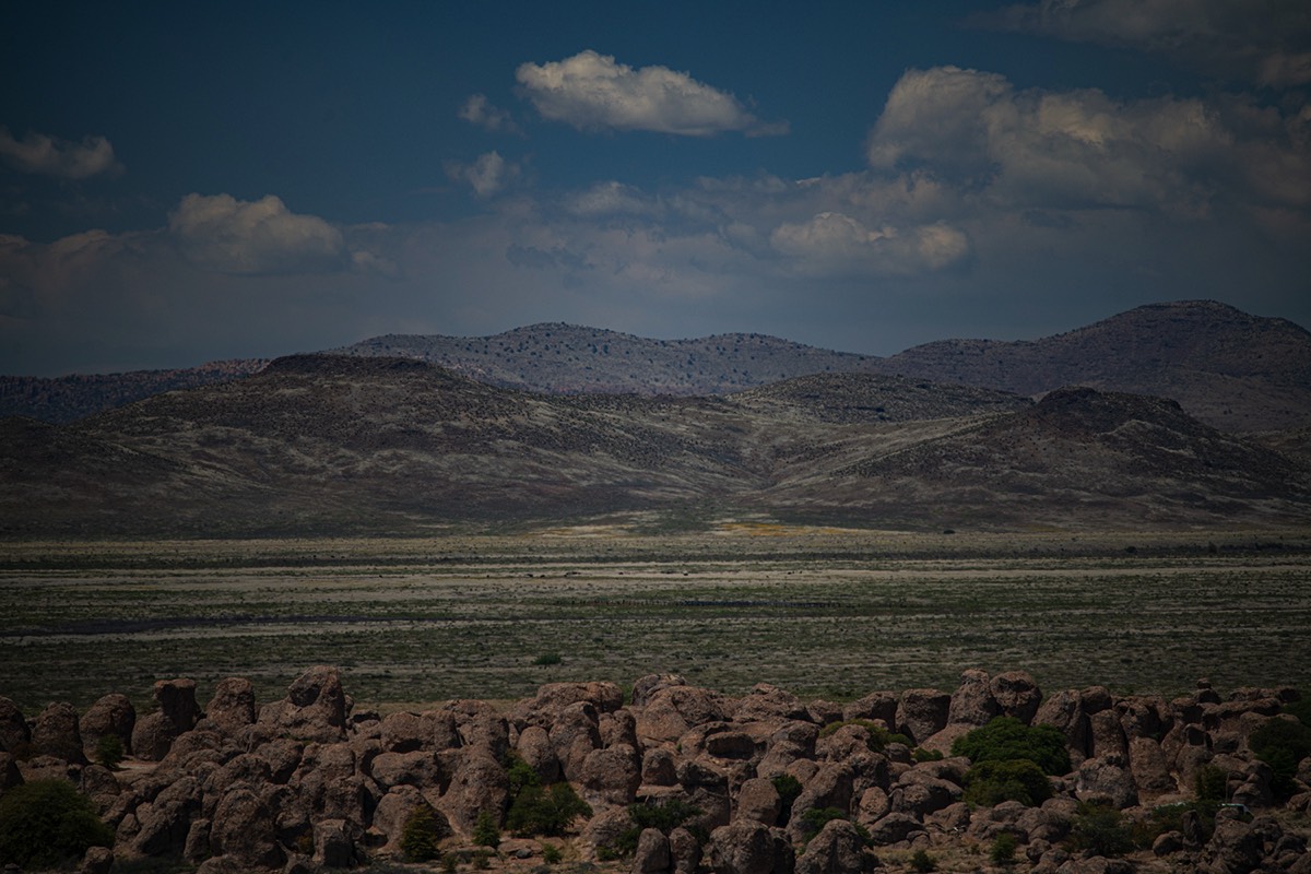 Stacks Image 5021