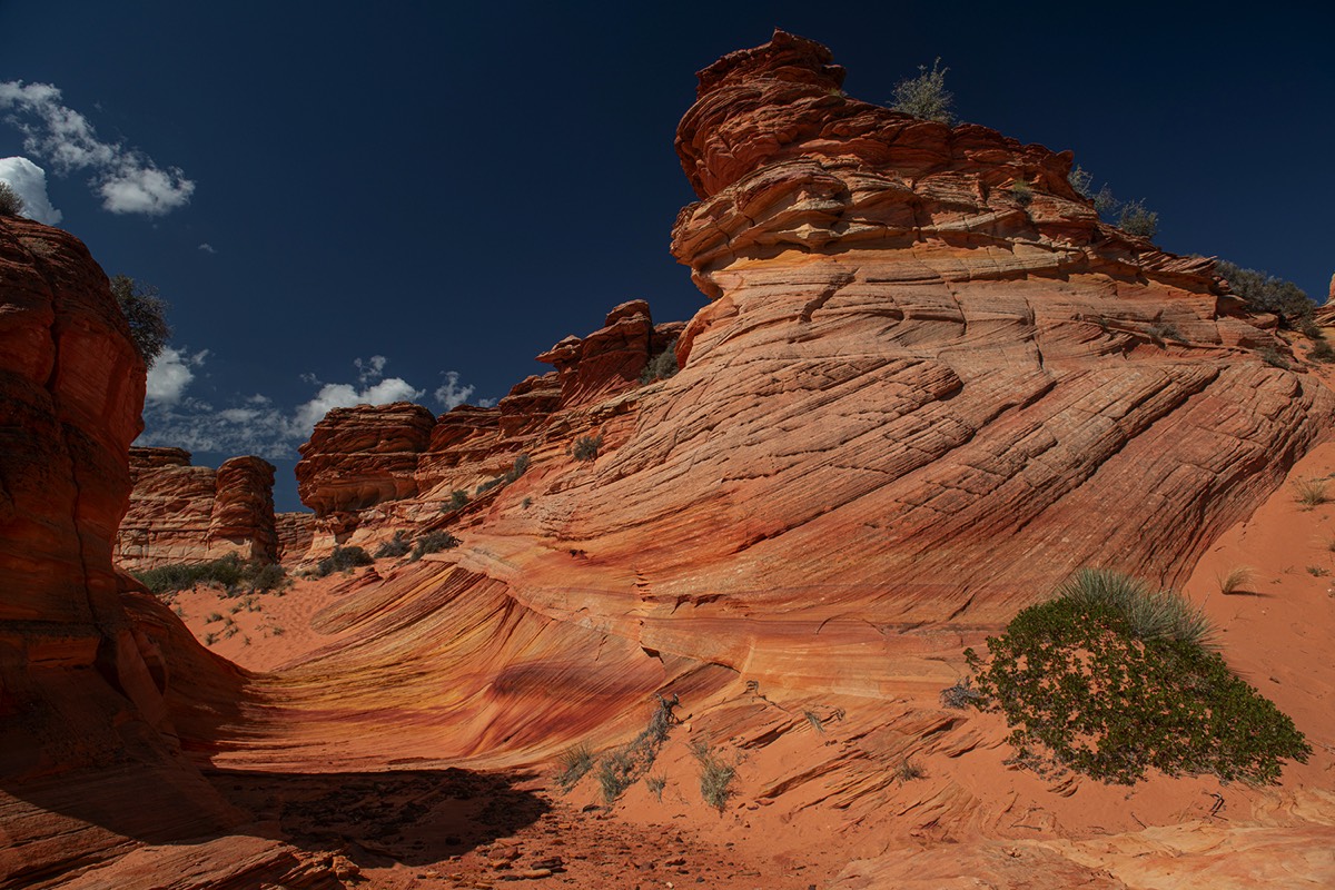 Stacks Image 5102