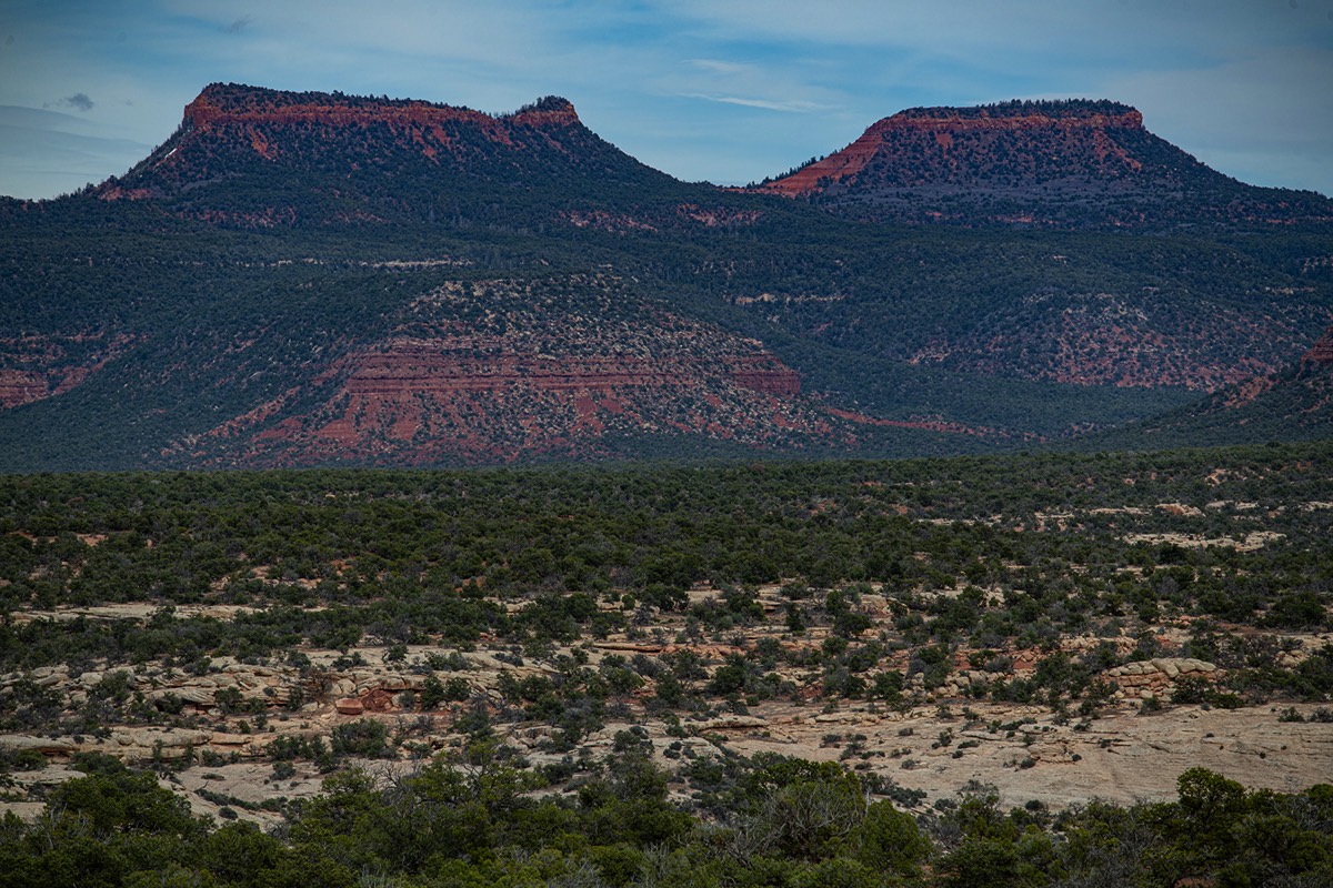 Stacks Image 5051