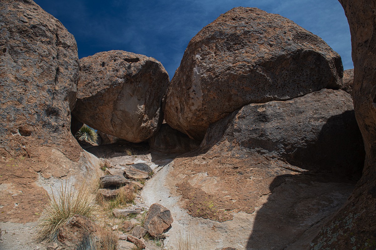 Stacks Image 5024