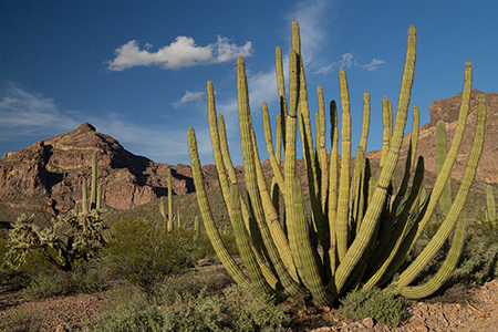 Stacks Image 6604