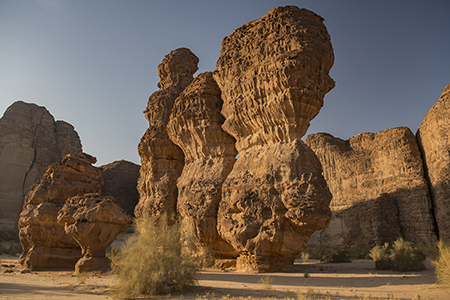 Stacks Image 8588
