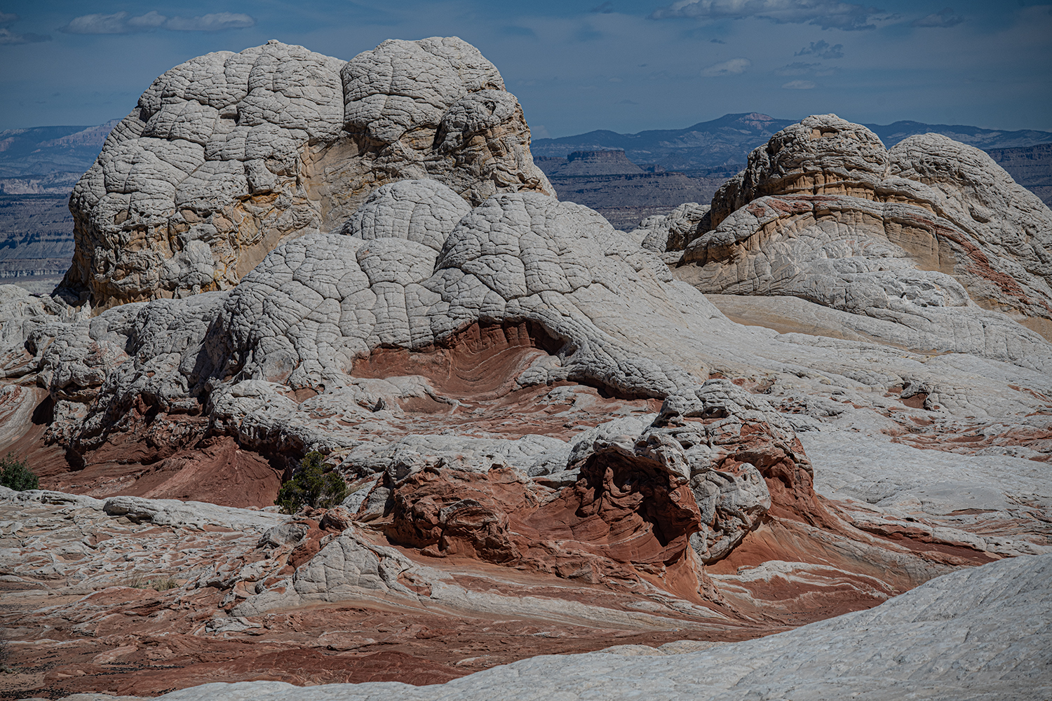 MWDSC_6191
