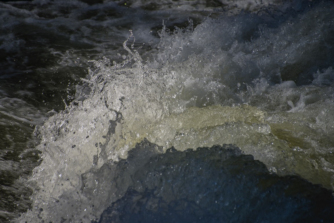 MWRDSC_6667