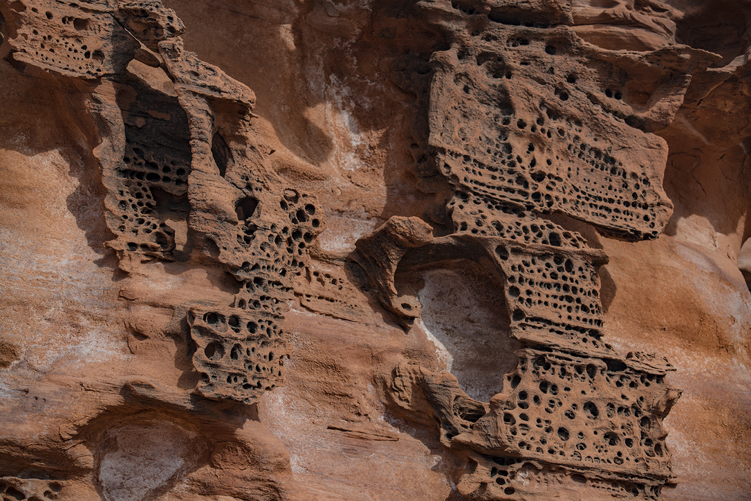 Gold Butte NM, NV