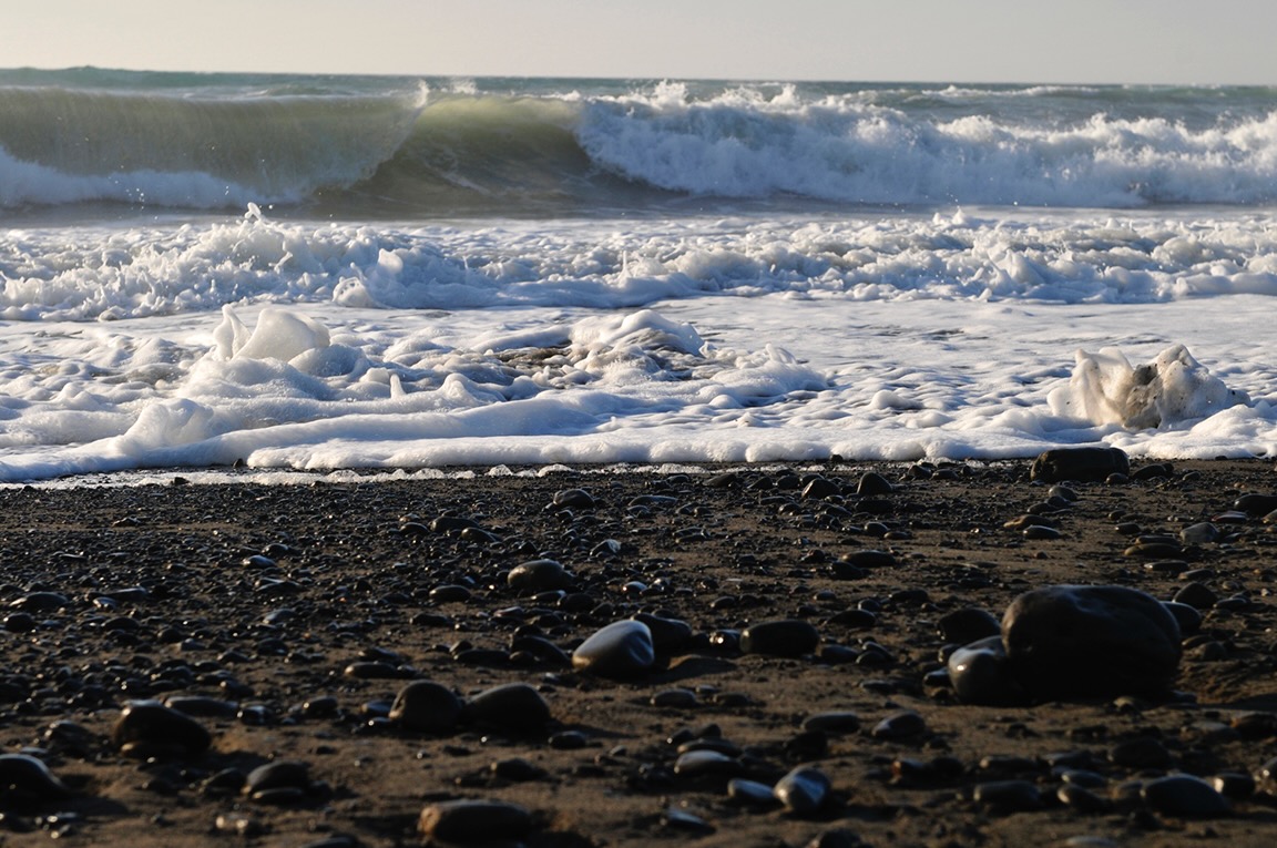 MW_DSC7887
