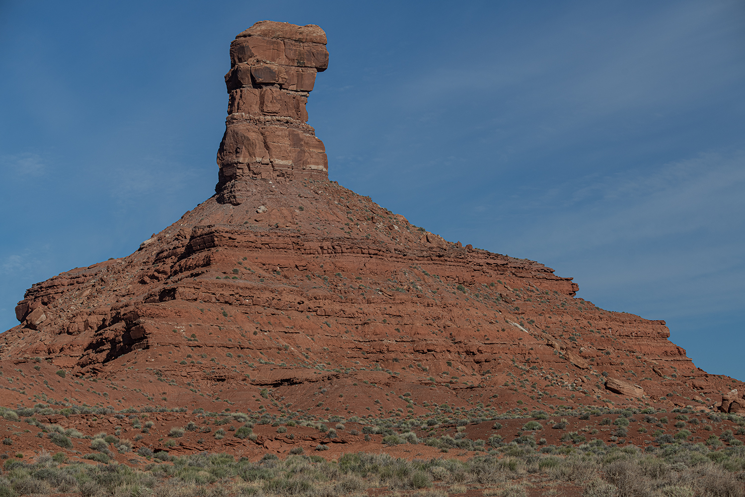 MWDSC_6833